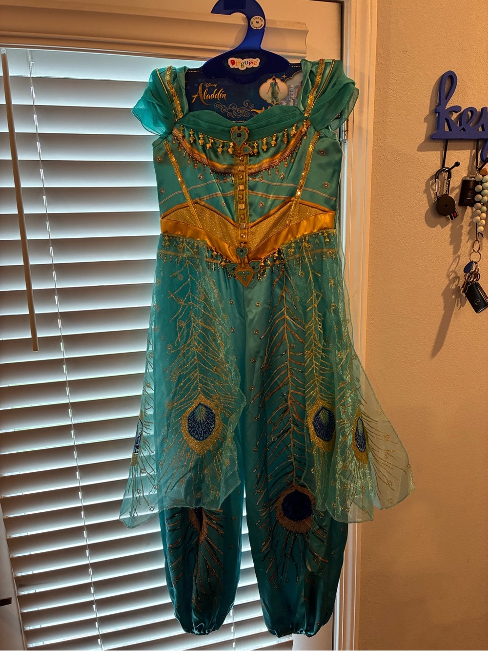 Disney Teal and Gold Peacock Princess Jasmine Costume